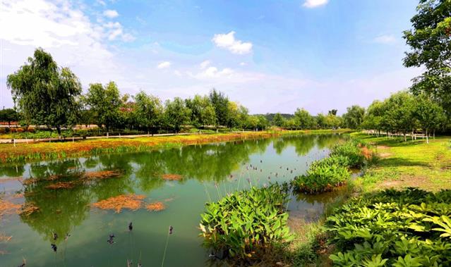 小枧生態(tài)濕地公園