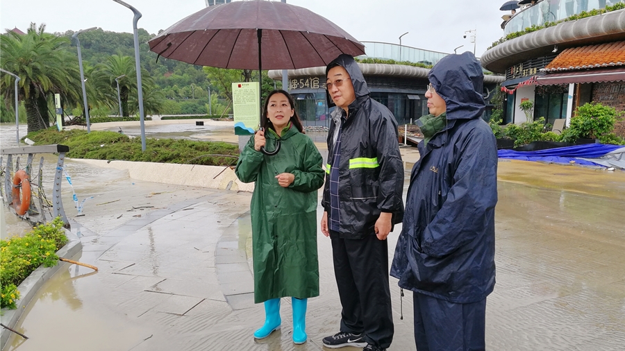 04-8月16日，程總視察三江半島及豪威爾號(hào)受損情況_副本